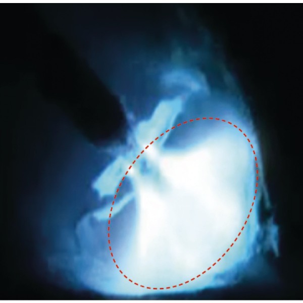 PRO-ARC 300W 1,0/1,2mm