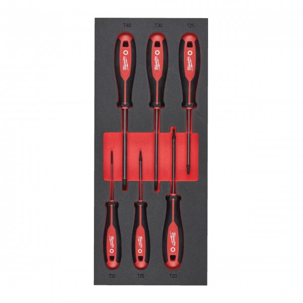 Wkładka piankowa z wkrętakami T10x75,...