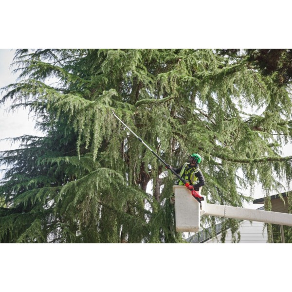 M18FTPS30-0 Podkrzesywarka... M18FTPS30-0 Podkrzesywarka...