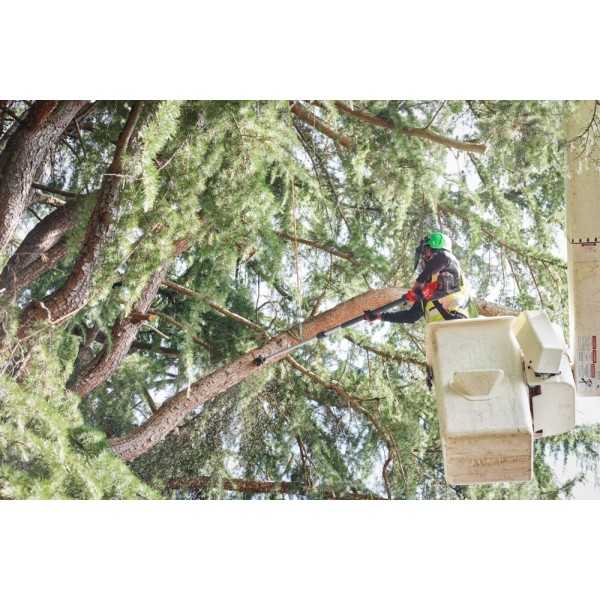 M18FTPS30-0 Podkrzesywarka... M18FTPS30-0 Podkrzesywarka...